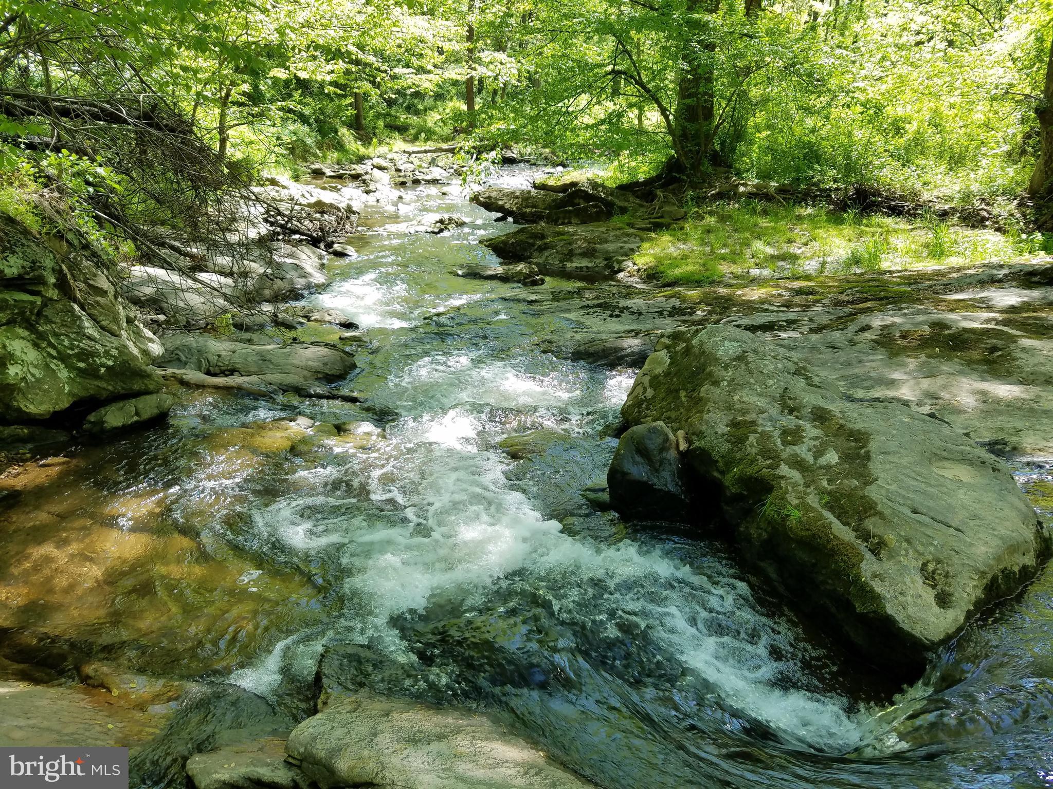10057 Fox Den Road Ellicott City, MD 21042 - Photo 39 of 43 David W Force Park