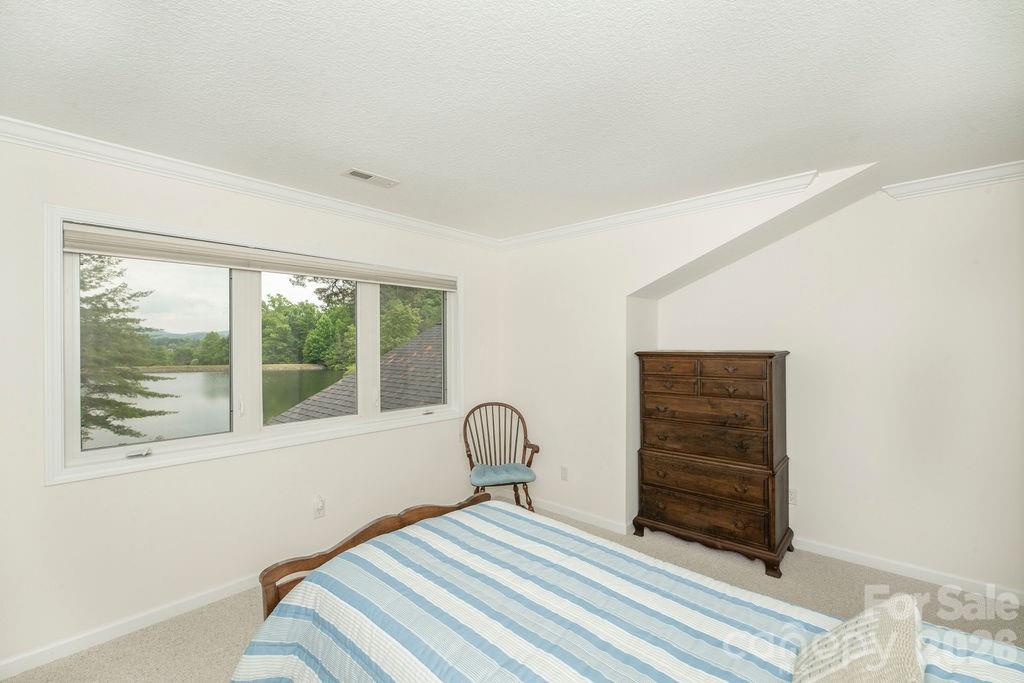 719 Deerlake Road Brevard, NC 28712 - Photo 39 of 40