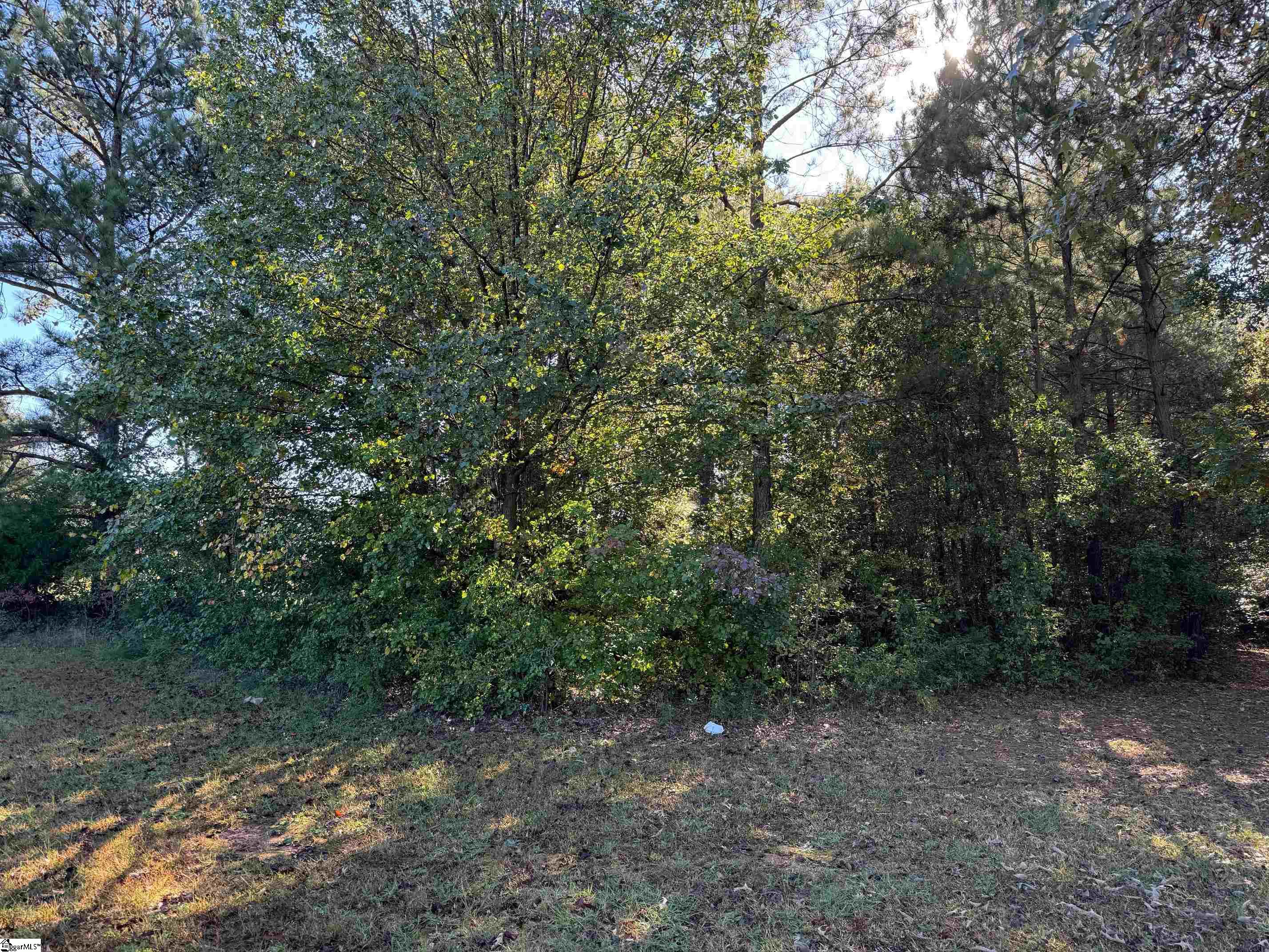 2212 Welcome Road Williamston, SC 29697 - Photo 3 of 6