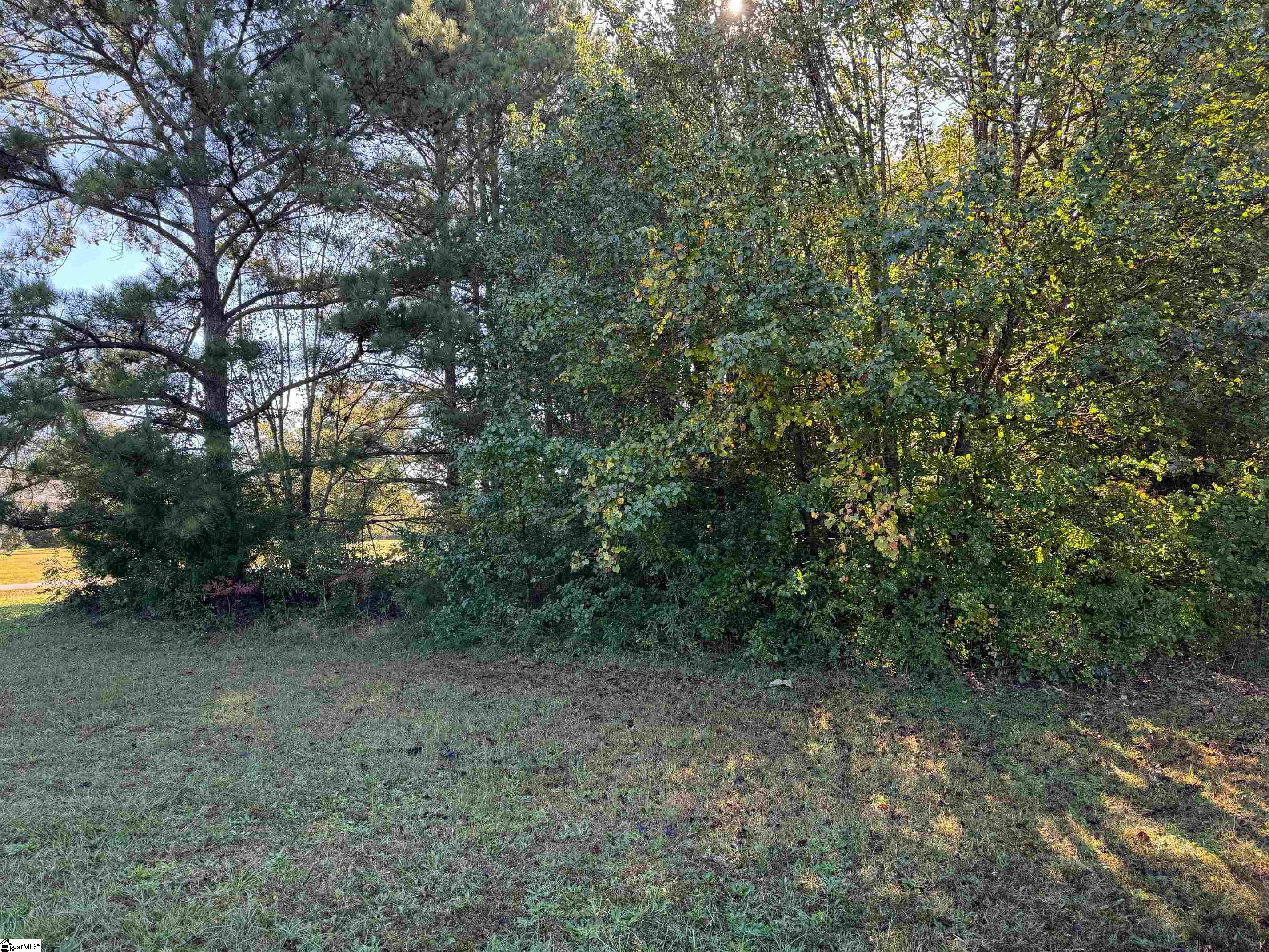 2212 Welcome Road Williamston, SC 29697 - Photo 4 of 6