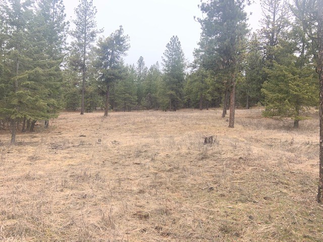 0 East Laurel Road Elk, WA 99009 - Photo 1 of 9