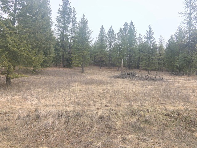 0 East Laurel Road Elk, WA 99009 - Photo 2 of 9
