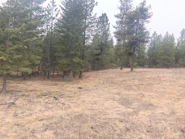 0 East Laurel Road Elk, WA 99009 - Photo 3 of 9
