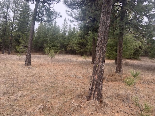 0 East Laurel Road Elk, WA 99009 - Photo 4 of 9