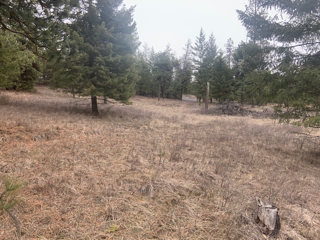0 East Laurel Road Elk, WA 99009 - Photo 5 of 9