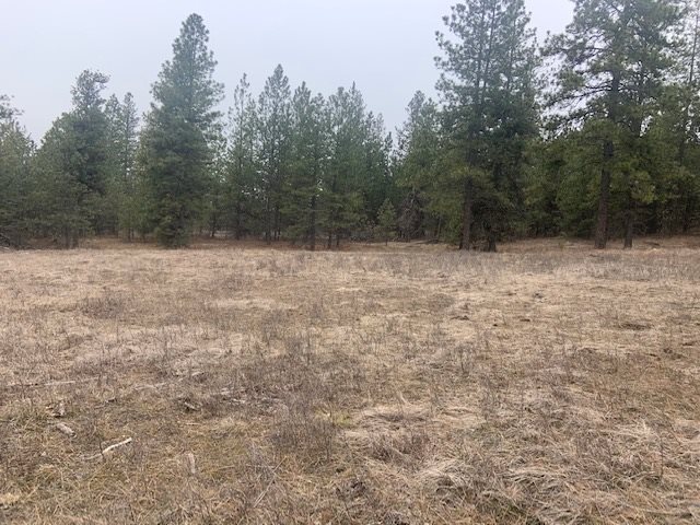 0 East Laurel Road Elk, WA 99009 - Photo 6 of 9