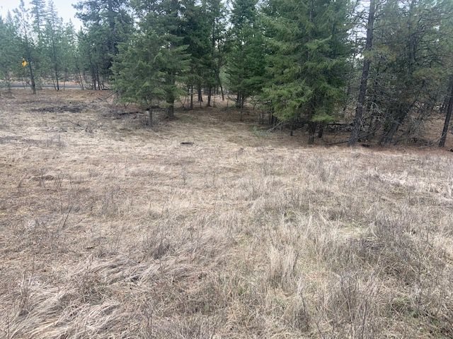 0 East Laurel Road Elk, WA 99009 - Photo 7 of 9