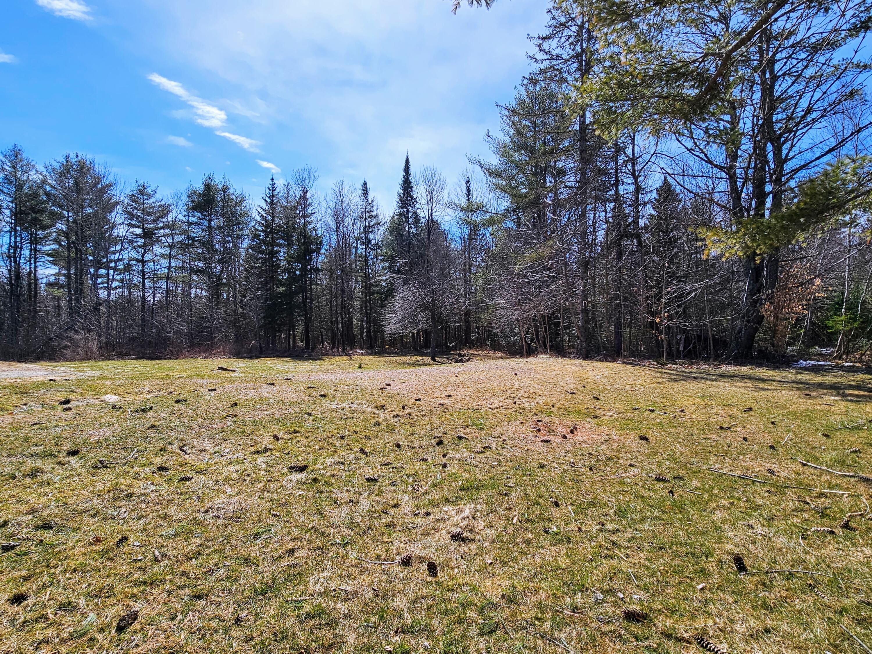 265 Darling Road Hudson, ME 04449 - Photo 6 of 24 Rear yard