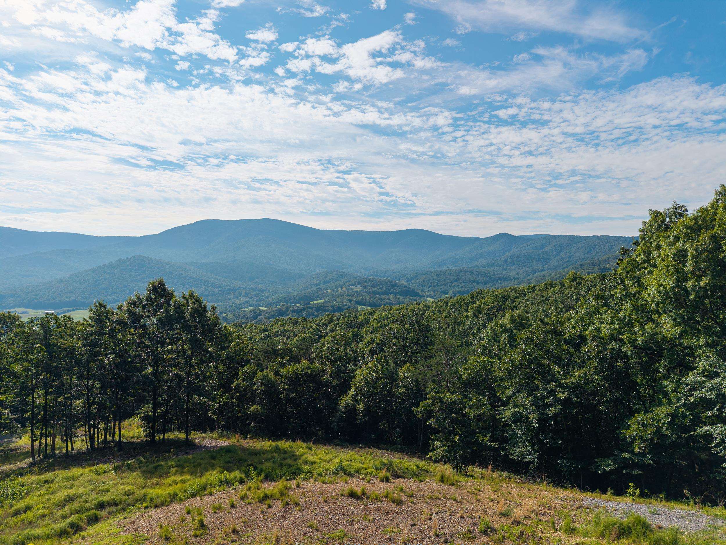 0 Roundhead Mountain Road Stanley, VA 22851 - Photo 36 of 43 Gallery Image 36