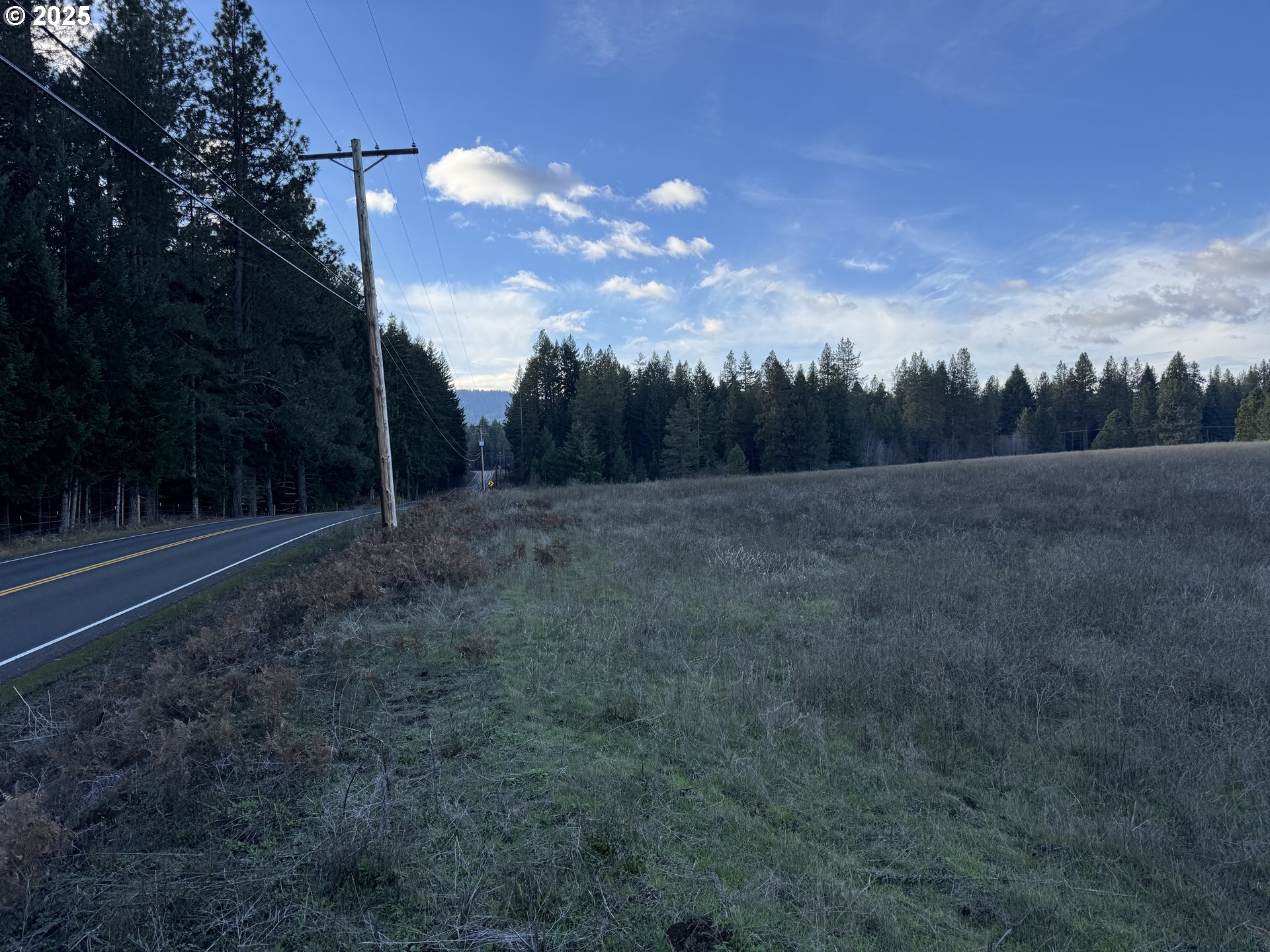 343 Little Mountain Road Trout Lake, WA 98650 - Photo 19 of 35 a view of basketball court