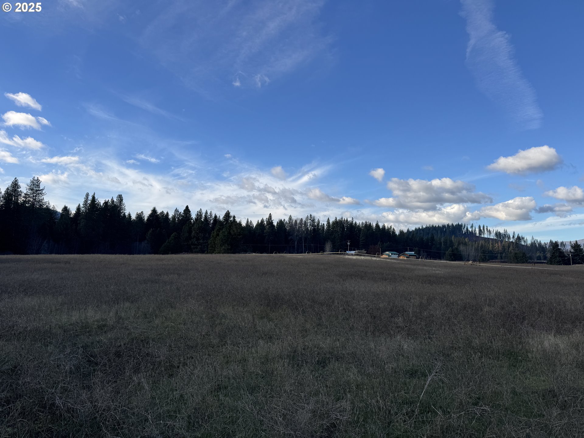 343 Little Mountain Road Trout Lake, WA 98650 - Photo 20 of 35 a view of an outdoor space