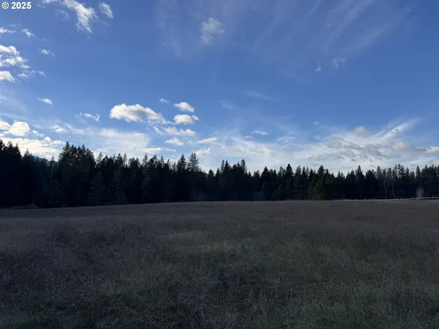 a view of a green field