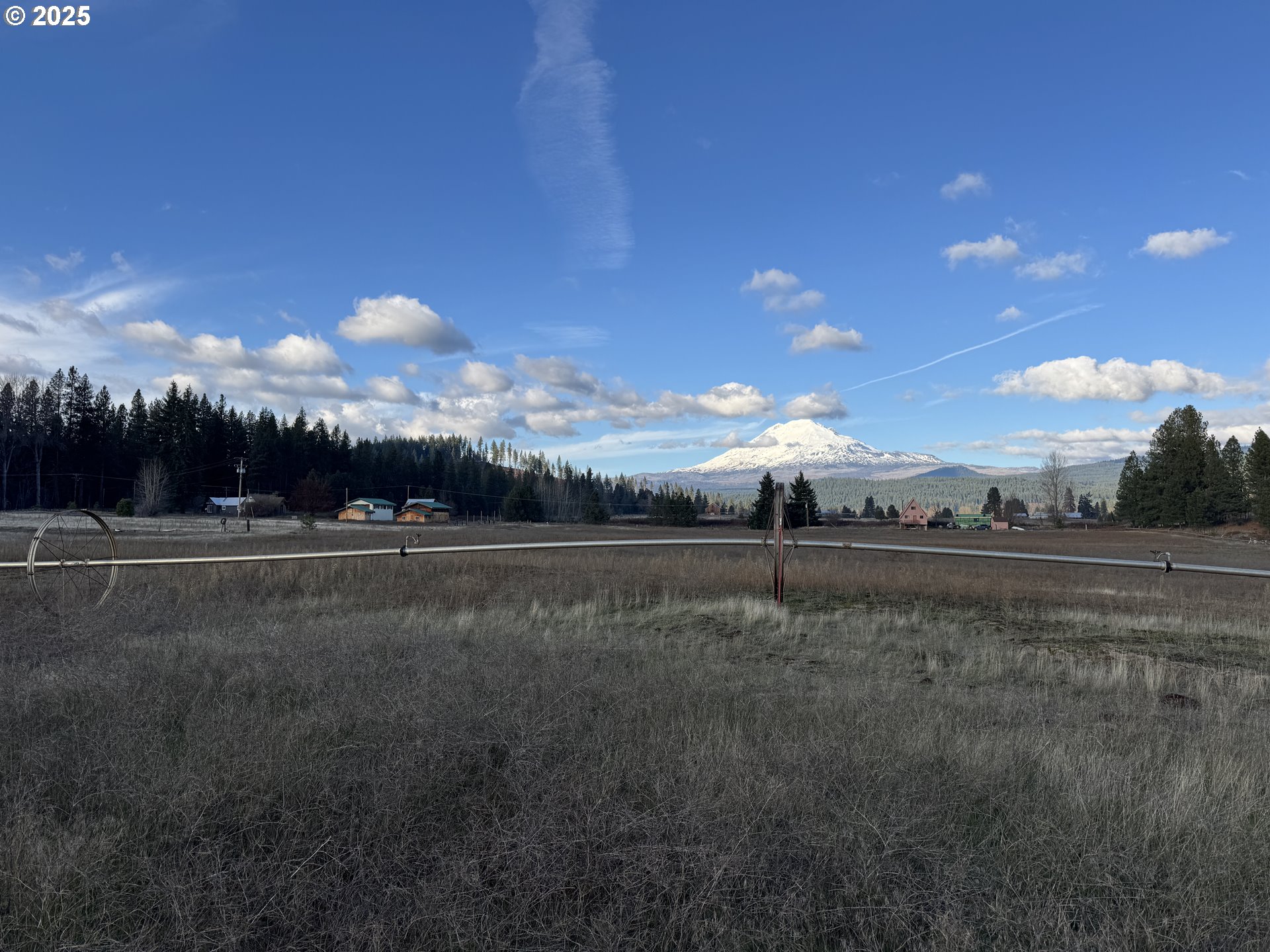 343 Little Mountain Road Trout Lake, WA 98650 - Photo 22 of 35 a view of a green field