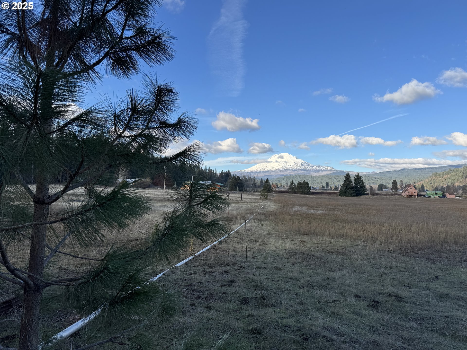 343 Little Mountain Road Trout Lake, WA 98650 - Photo 23 of 35 a view of a yard with an outdoor space