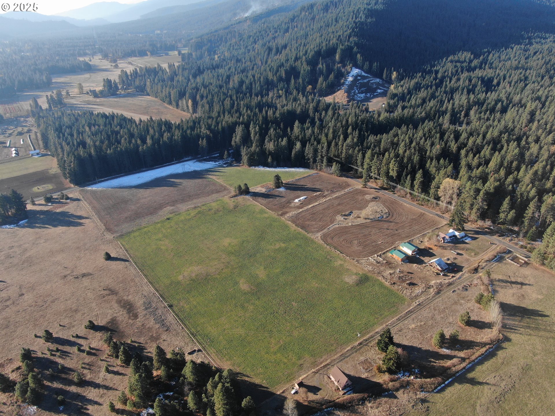 343 Little Mountain Road Trout Lake, WA 98650 - Photo 27 of 35 a view of a tennis ground with large trees