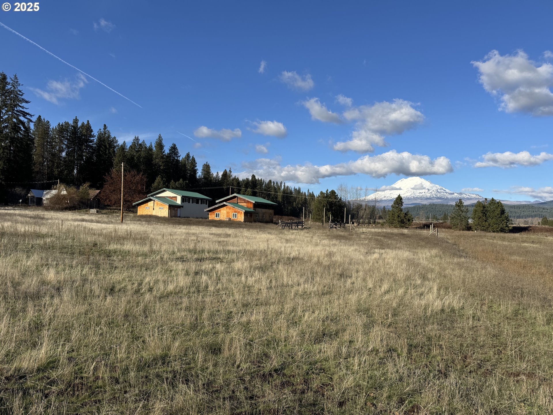 343 Little Mountain Road Trout Lake, WA 98650 - Photo 3 of 35 a view of a outdoor space