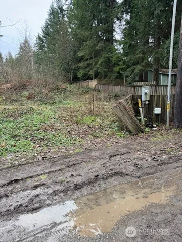 a view of a yard with a tree