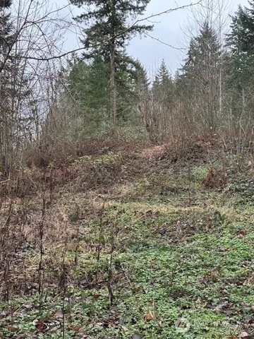 a view of a yard with a tree