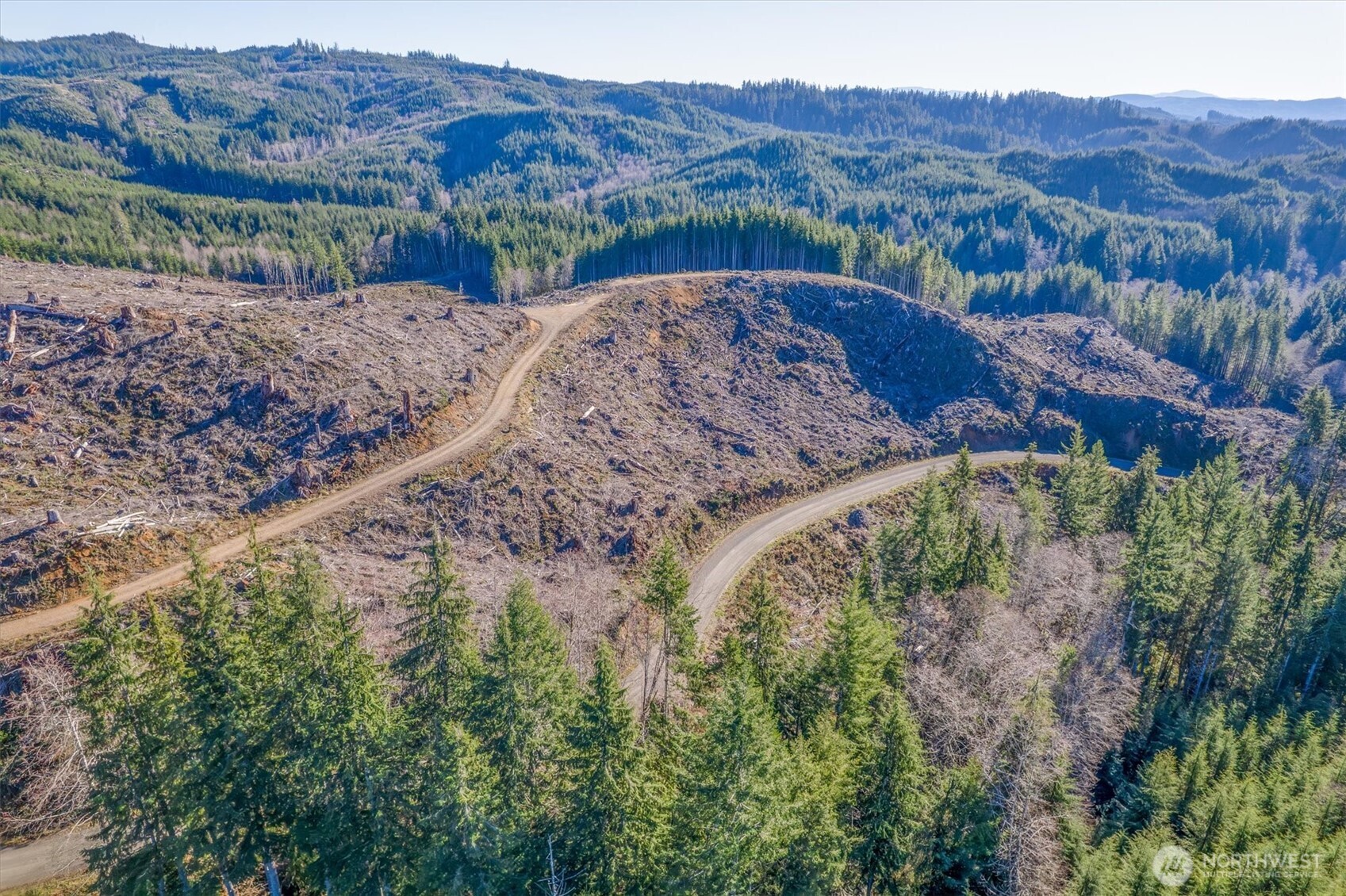 0 West Deep River Road Naselle, WA 98638 - Photo 12 of 29 Gallery Image 12