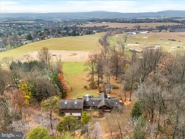 a view of a city with tall trees