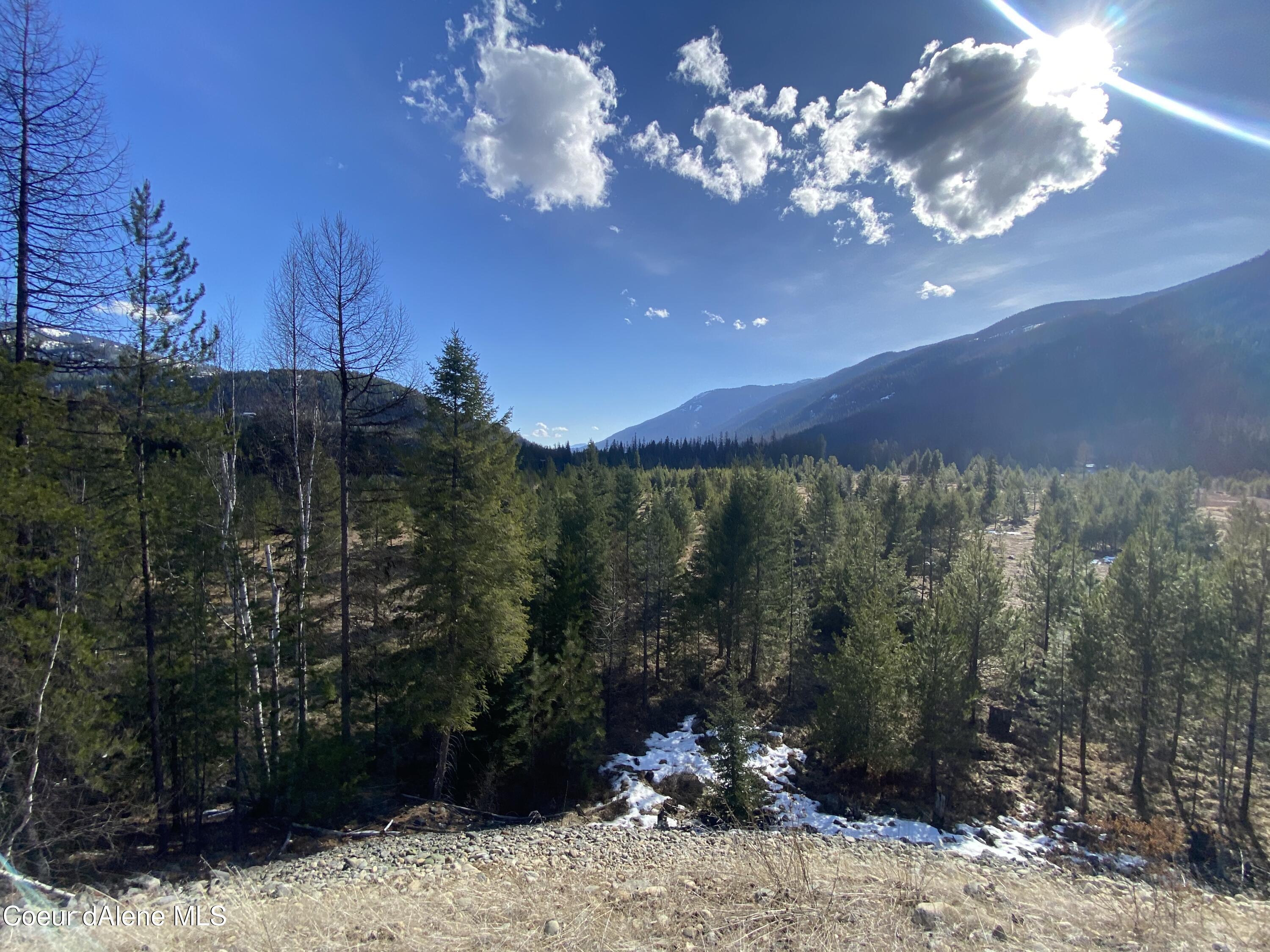 L1 Moyie River Road Bonners Ferry, ID 83805 - Photo 1 of 1 A6661F23-6093-47E5-9D64-4674ACCF3FE8