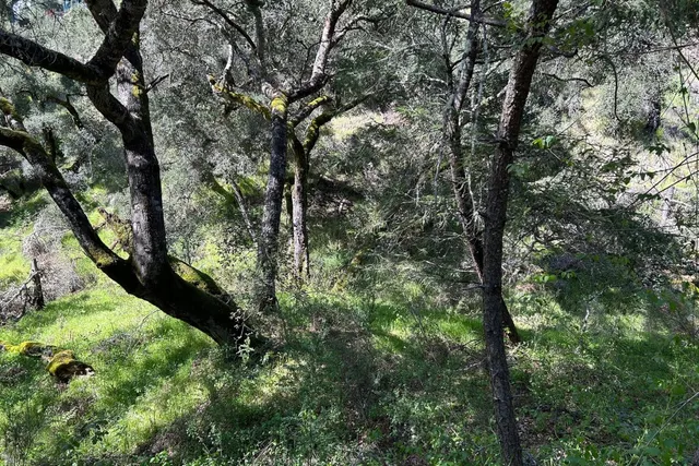 $55,000 | 0 Marion Avenue, Ben Lomond, CA 95005