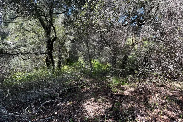 $55,000 | 0 Marion Avenue, Ben Lomond, CA 95005