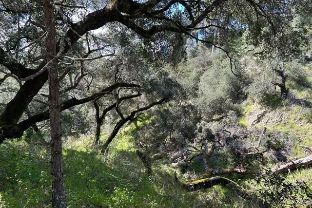 $55,000 | 0 Marion Avenue, Ben Lomond, CA 95005