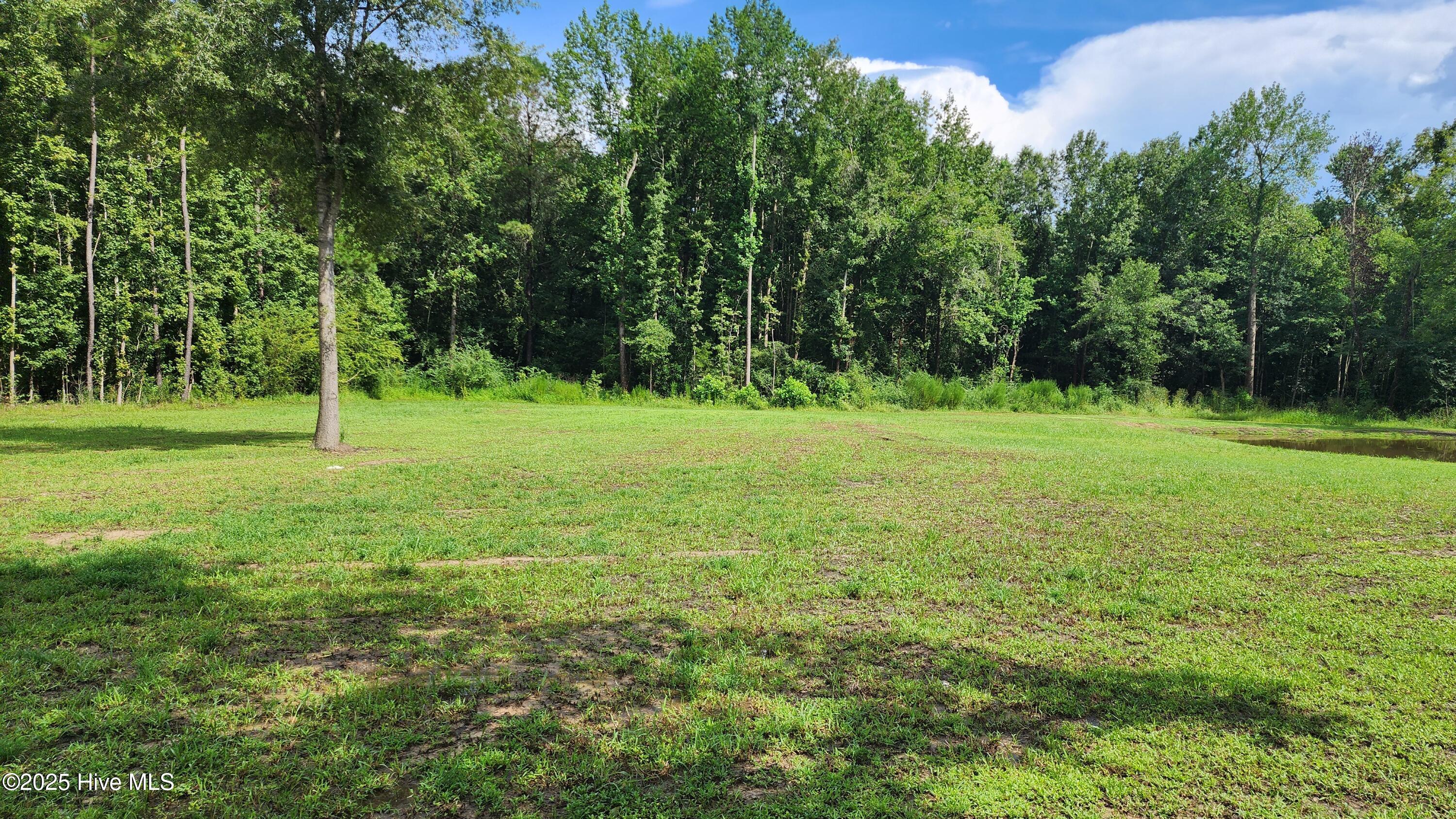 2999 Princess Ann Road Chadbourn, NC 28431 - Photo 3 of 4 20250813_153340