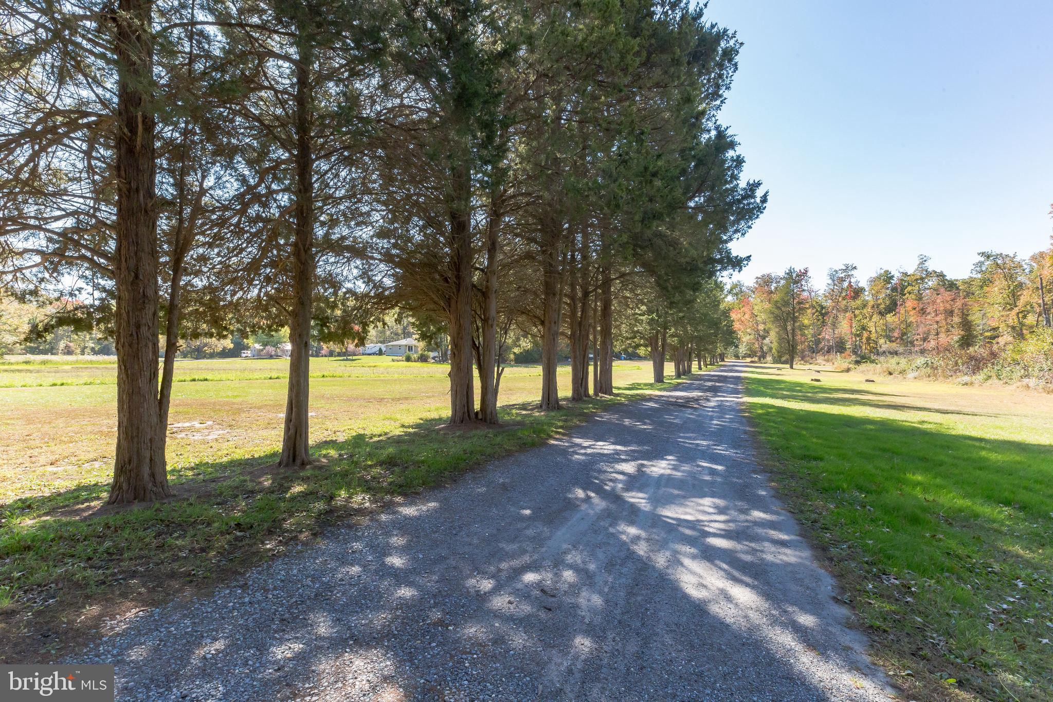 220 Robinson Road Salem, NJ 08079 - Photo 20 of 23 a view of outdoor space with lots of trees