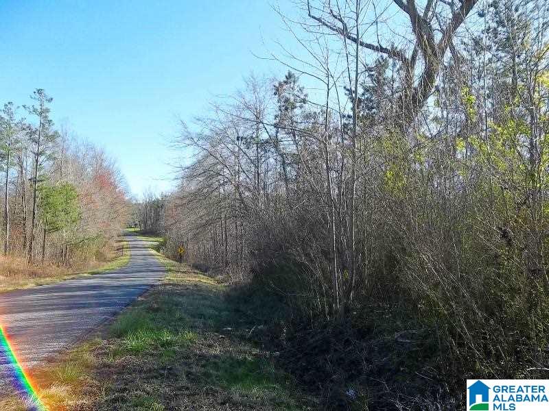Big Springs Road, Unit 28 Ashland, AL 36251 - Photo 3 of 8