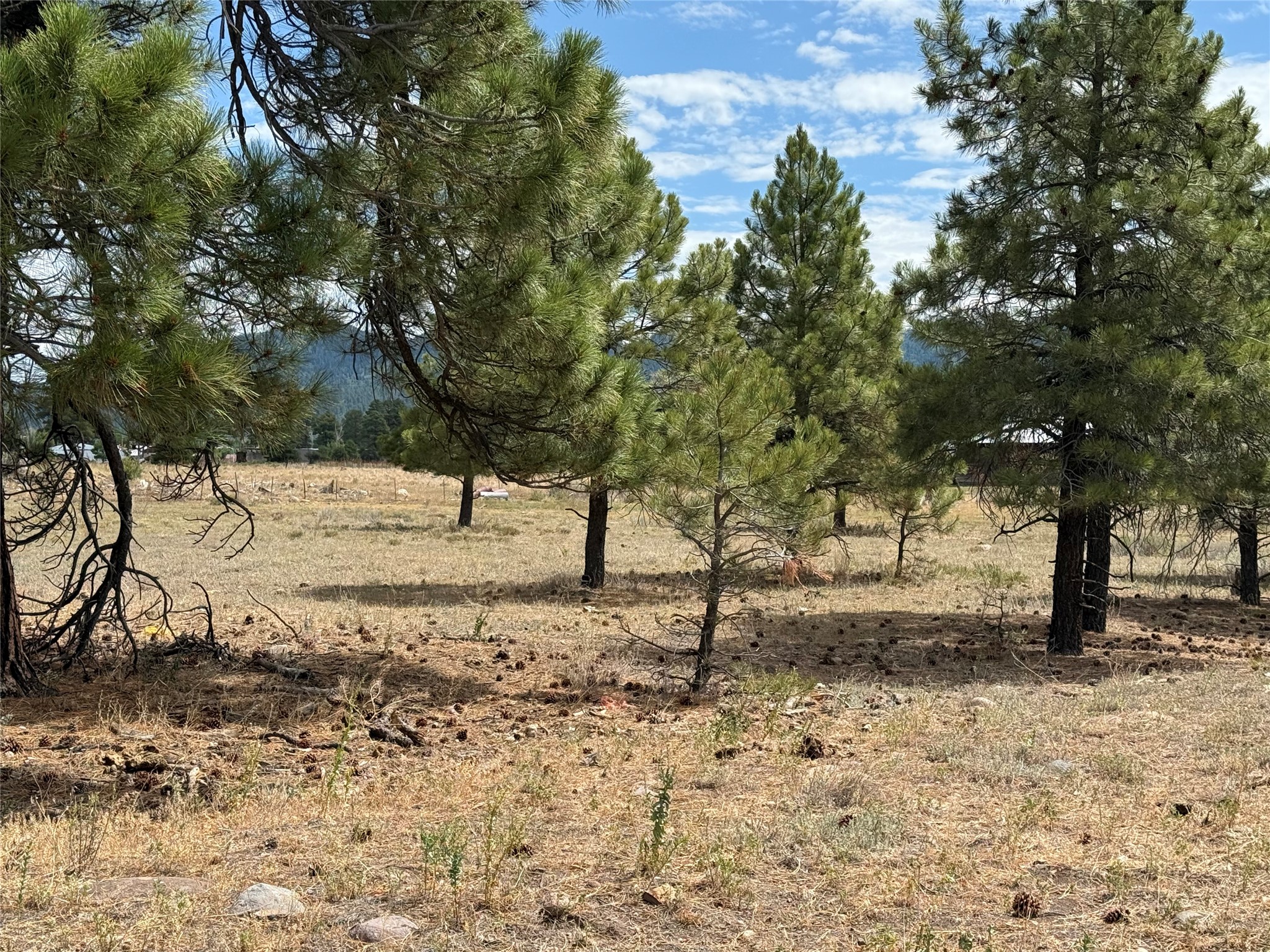 0 Thistle Loop Chama, NM 87520 - Photo 3 of 3