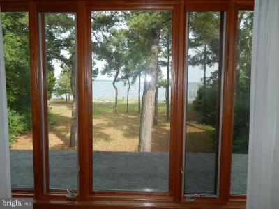44765 Lighthouse Road Piney Point, MD 20674 - Photo 13 of 29 Gorgeous view from sitting room