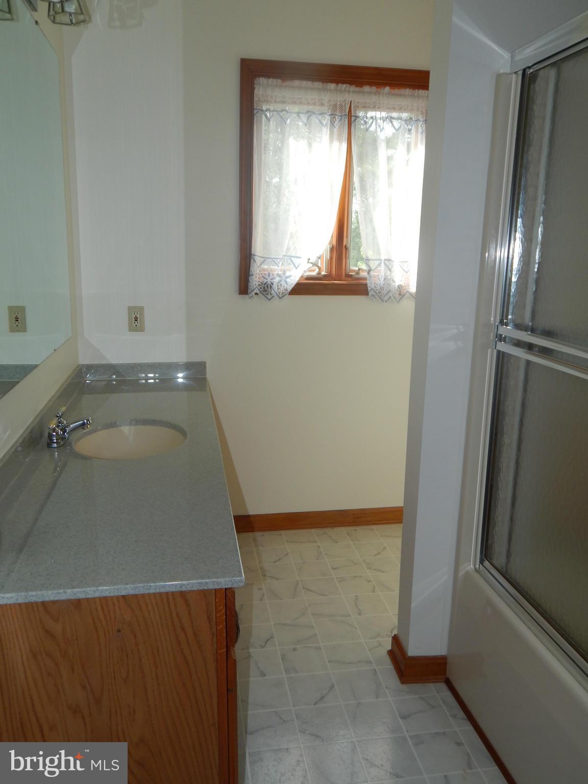 44765 Lighthouse Road Piney Point, MD 20674 - Photo 15 of 29 separate vanity, shower and tub