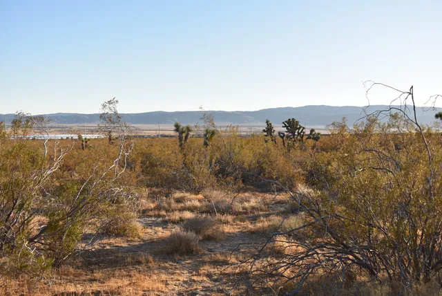 $35,000 | 19300 Astoria Avenue West, Rosamond, CA 93560