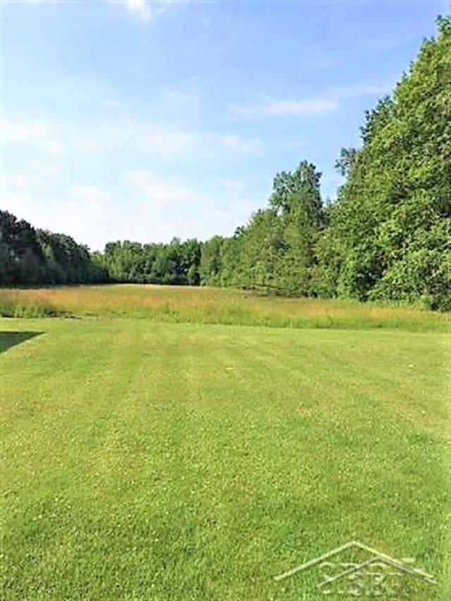 4576 Busch Road Birch Run, MI 48415 - Photo 22 of 22 31385762-21.JPG
