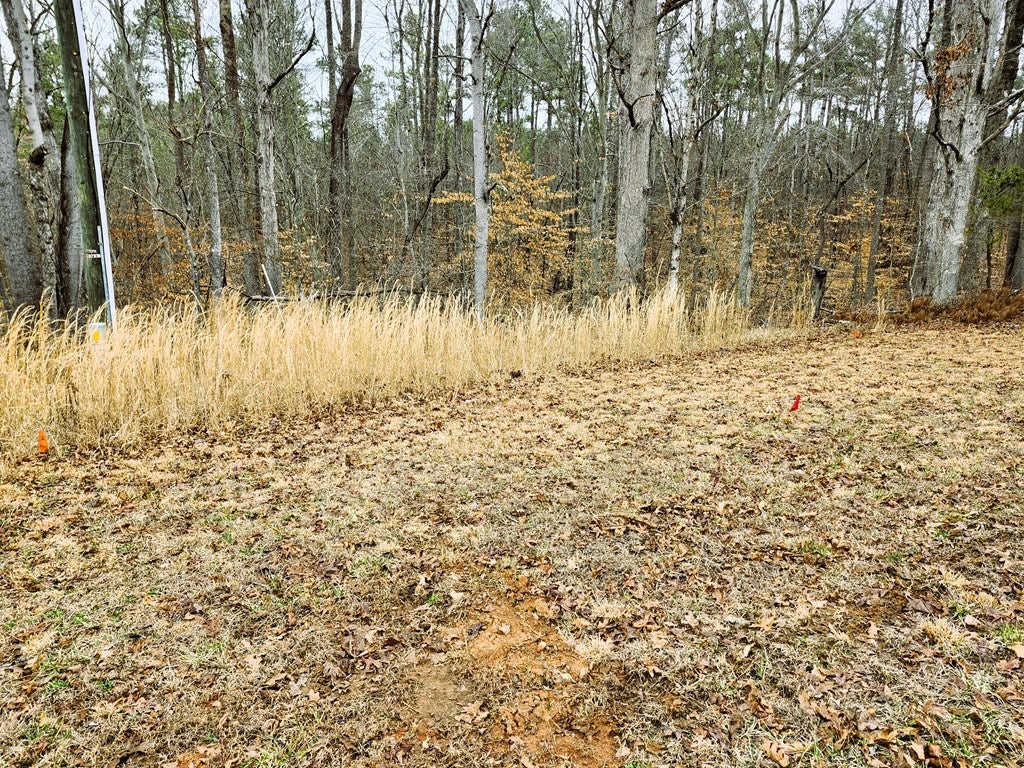 210 Sunset Ridge Drive, Unit 12 Farmville, VA 23901 - Photo 6 of 12 Gallery Image 6