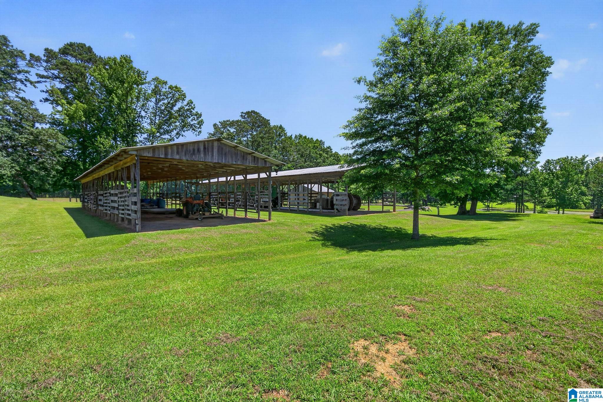 3463 County Road 3 Delta, AL 36258 - Photo 12 of 100