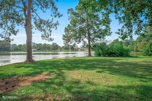 a view of a park with a tree