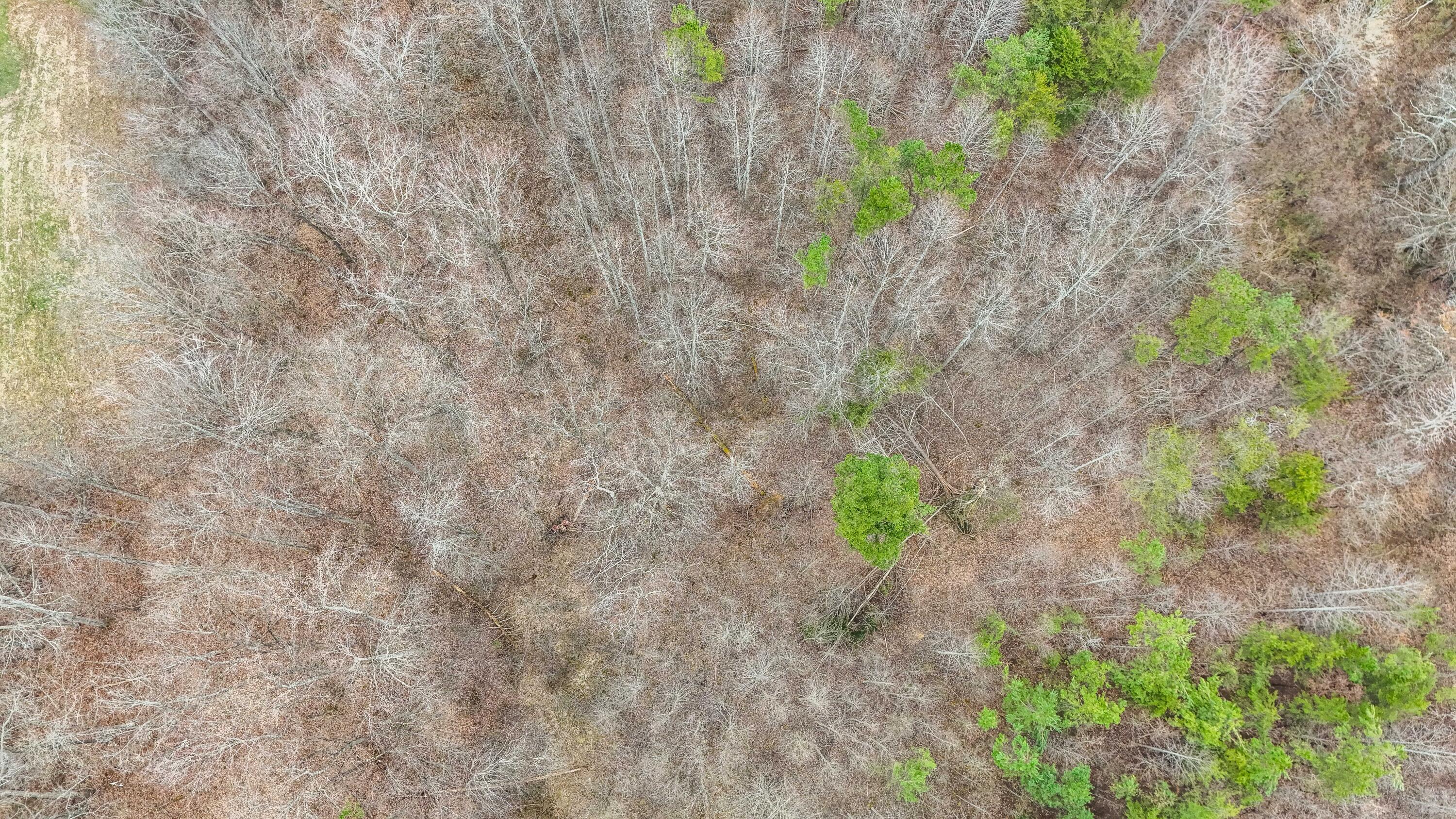 381 East Campground School Road London, KY 40744 - Photo 11 of 18 LightroomRealEstateEdits-7