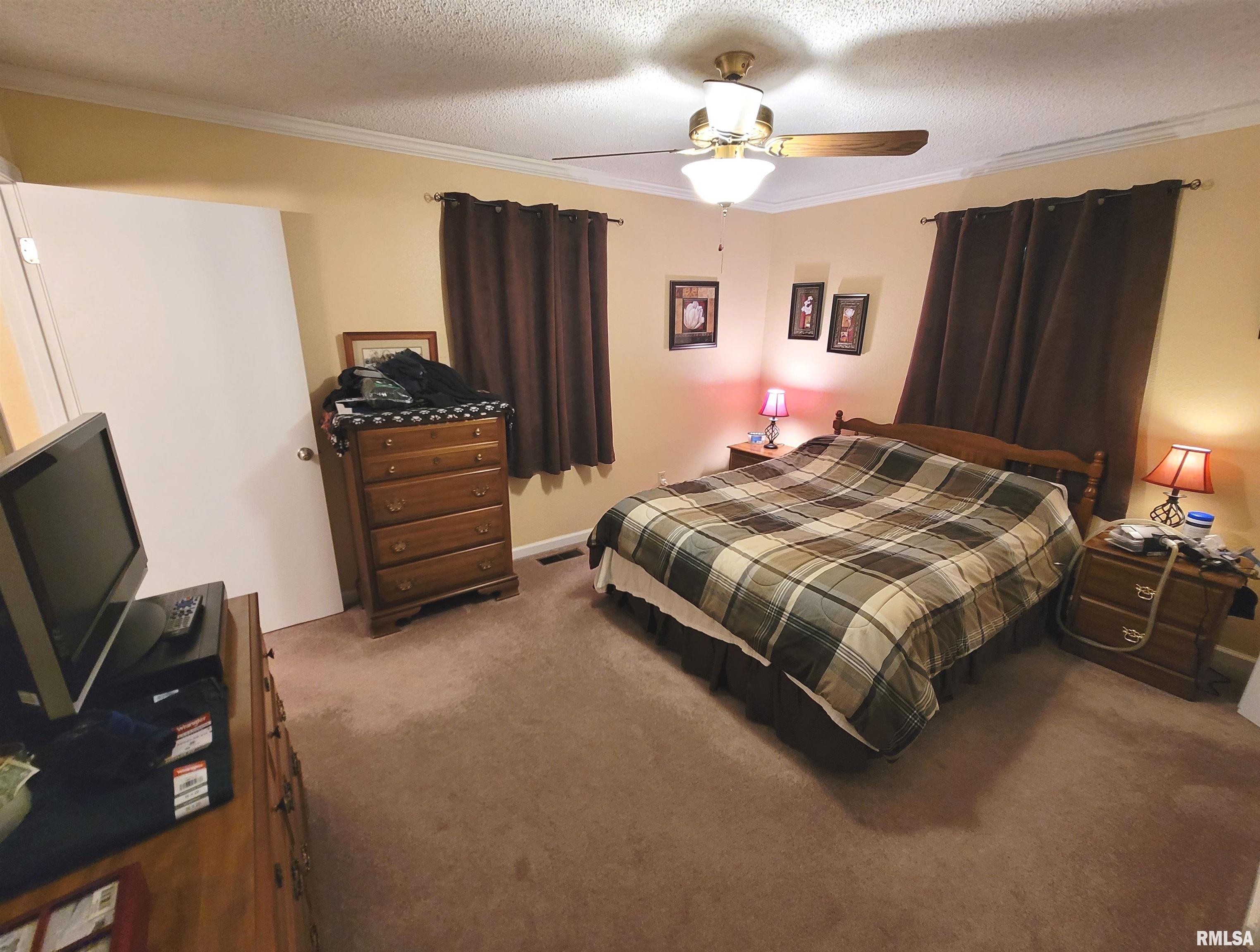 437 Prairie View Drive Salem, IL 62881 - Photo 11 of 27