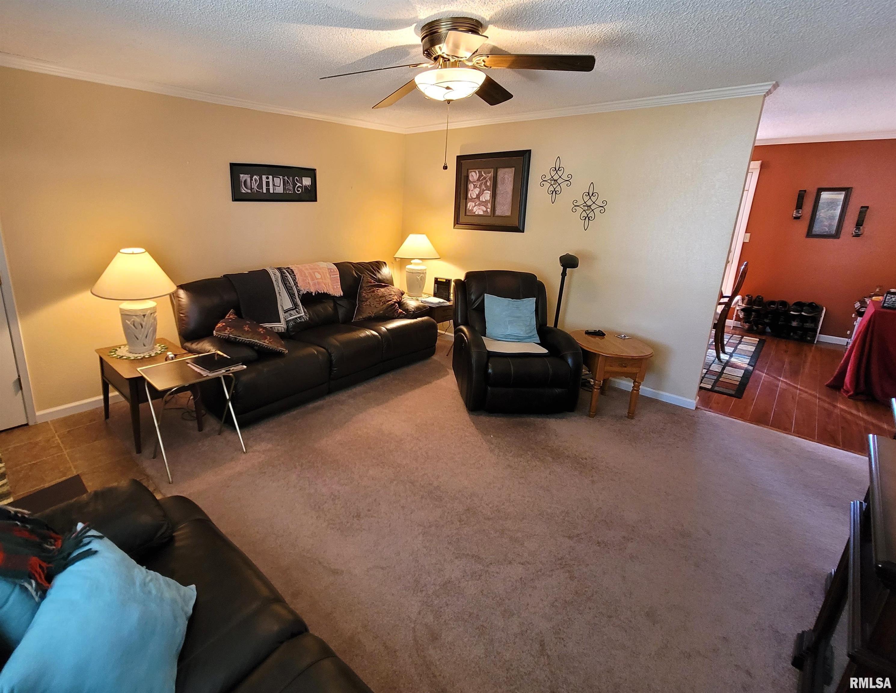 437 Prairie View Drive Salem, IL 62881 - Photo 7 of 27