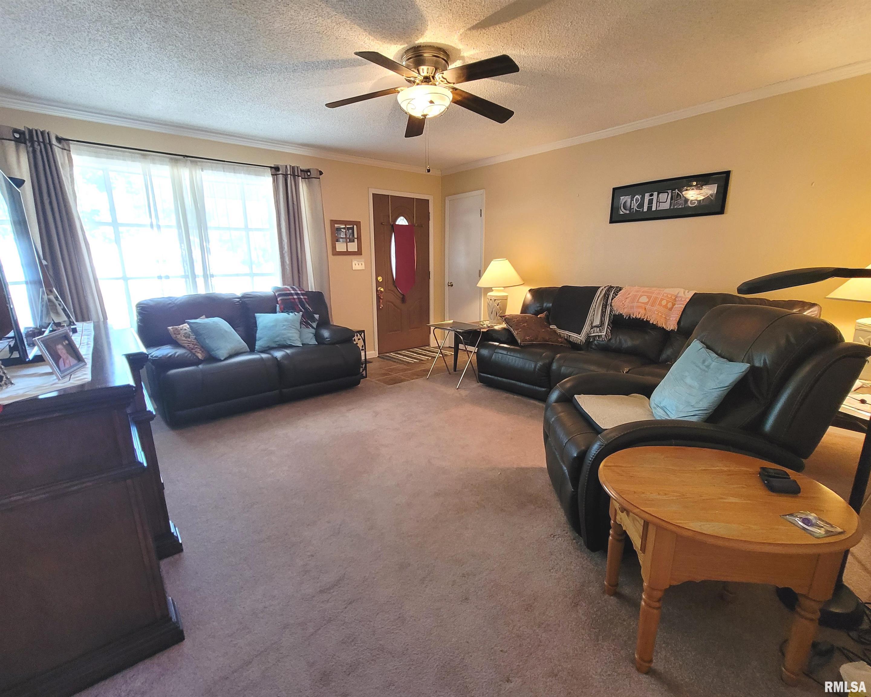 437 Prairie View Drive Salem, IL 62881 - Photo 8 of 27