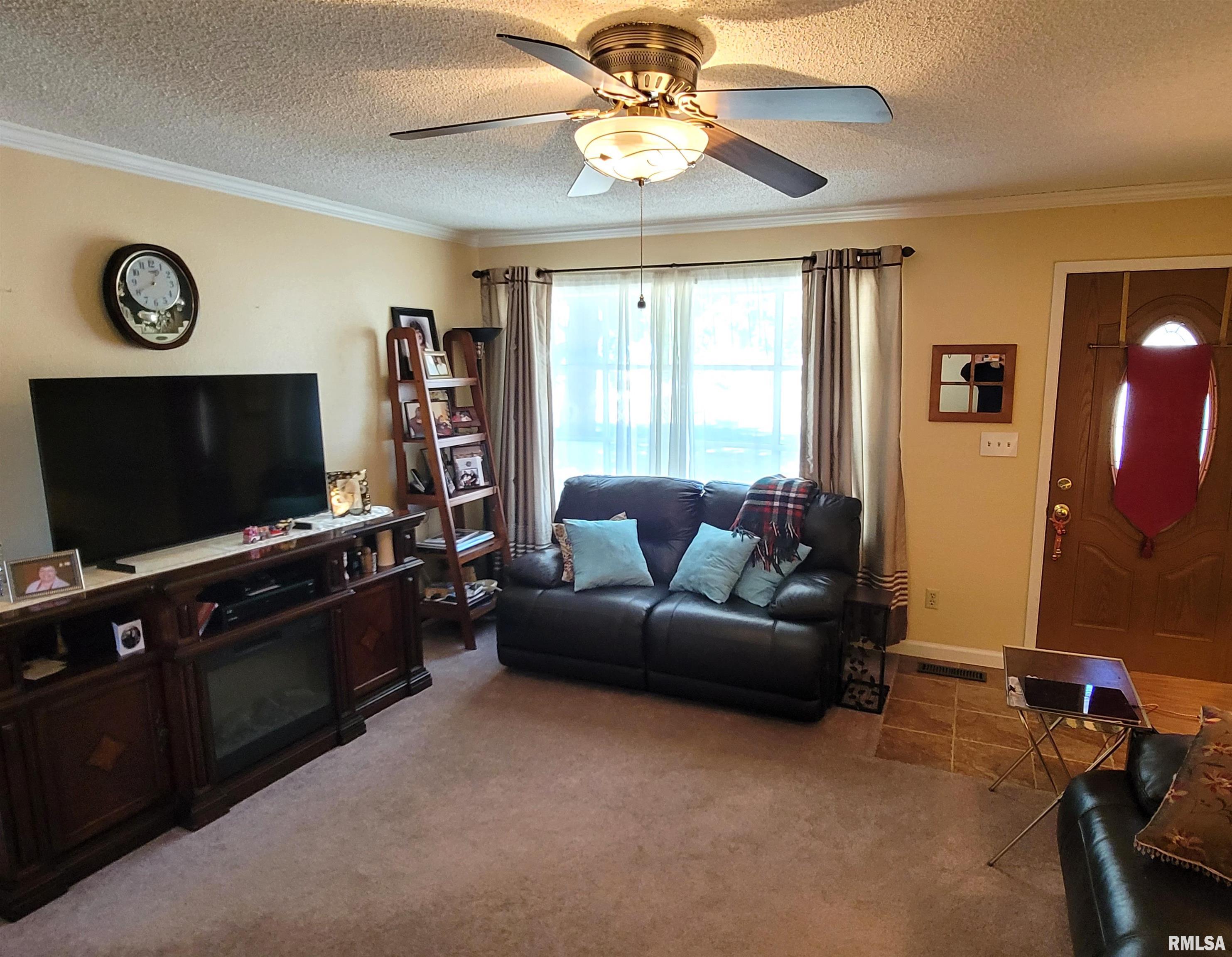 437 Prairie View Drive Salem, IL 62881 - Photo 9 of 27