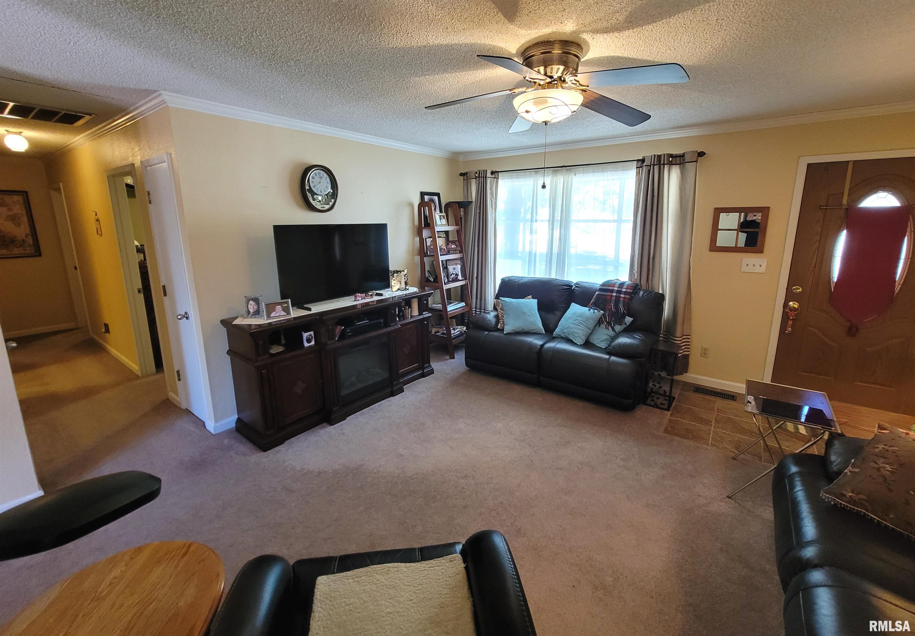 437 Prairie View Drive Salem, IL 62881 - Photo 10 of 27