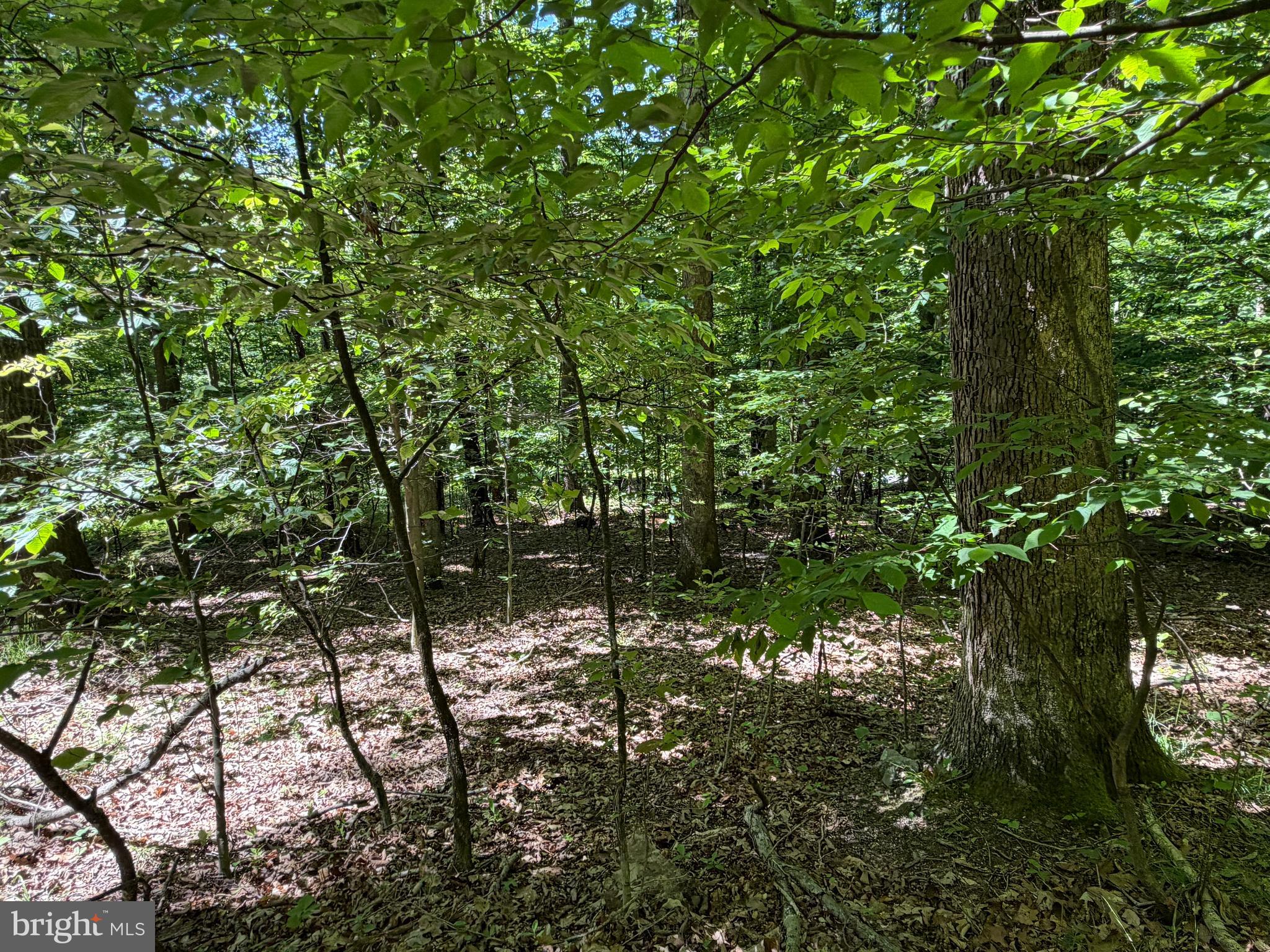 944 Decker Hollow Road Tyrone, PA 16686 - Photo 34 of 82