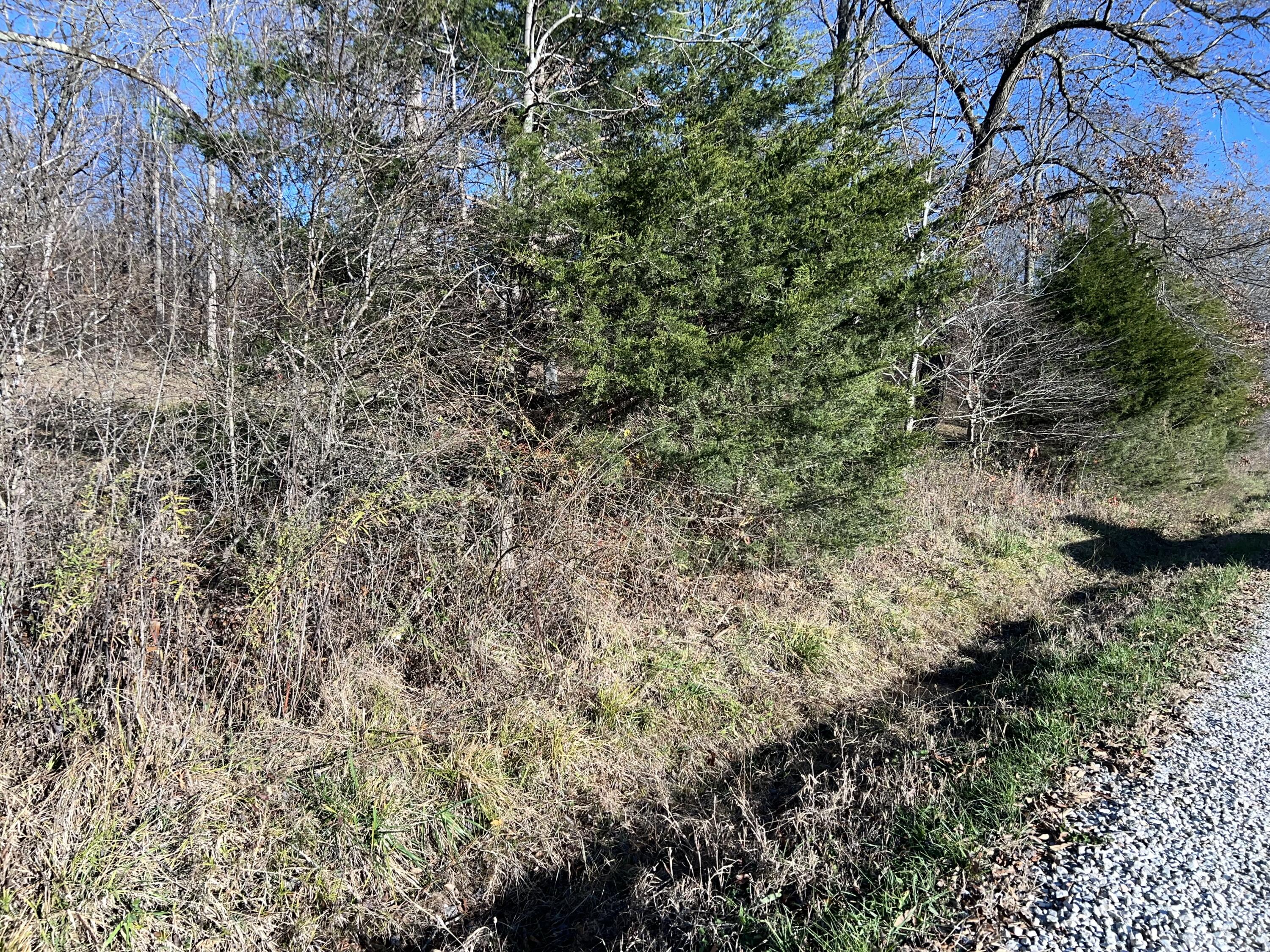 0 West Bowman Springs Road Wallingford, KY 41093 - Photo 6 of 13 IMG_2740
