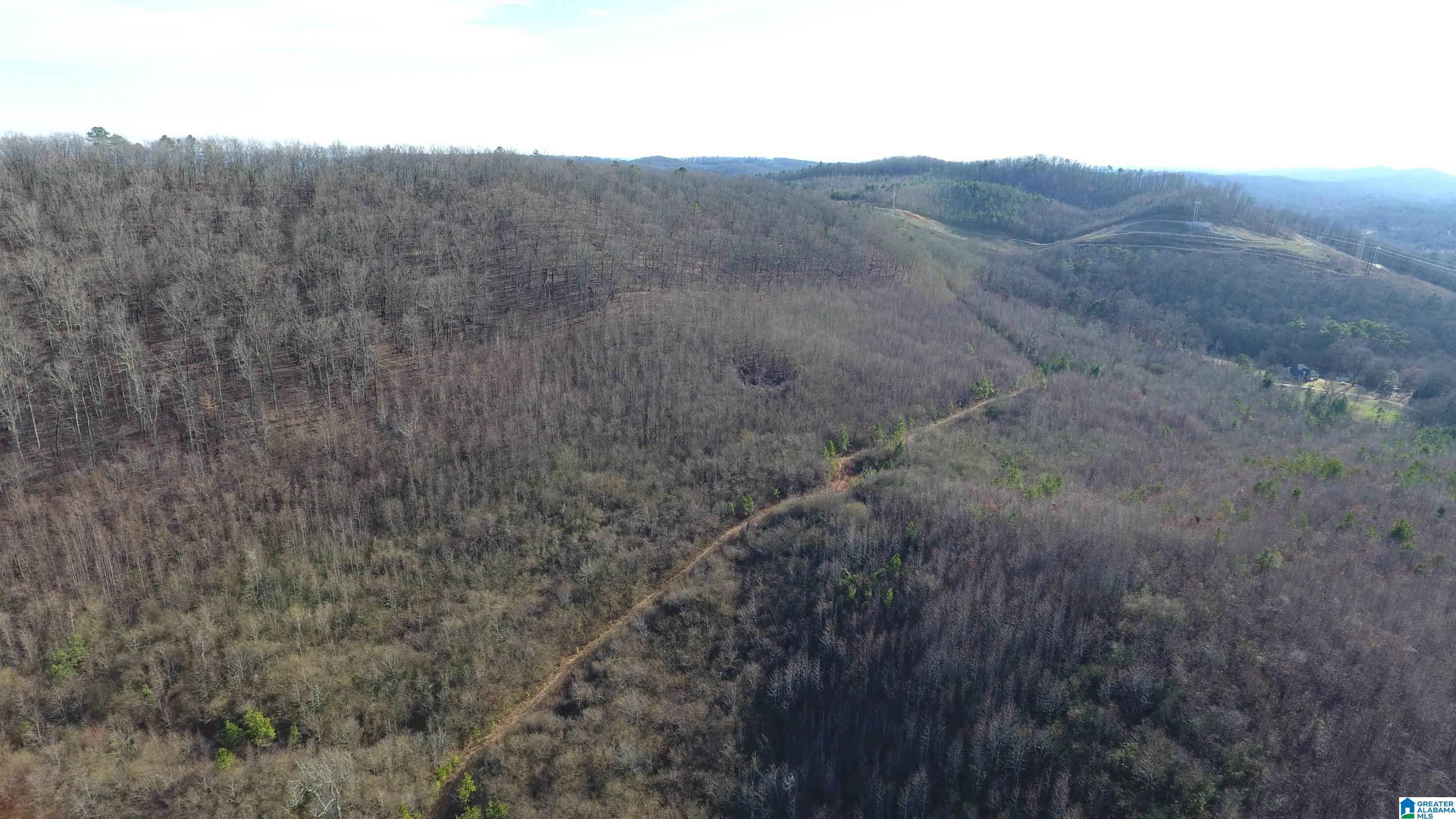 8455 Clayton Road Trussville, AL 35173 - Photo 17 of 65