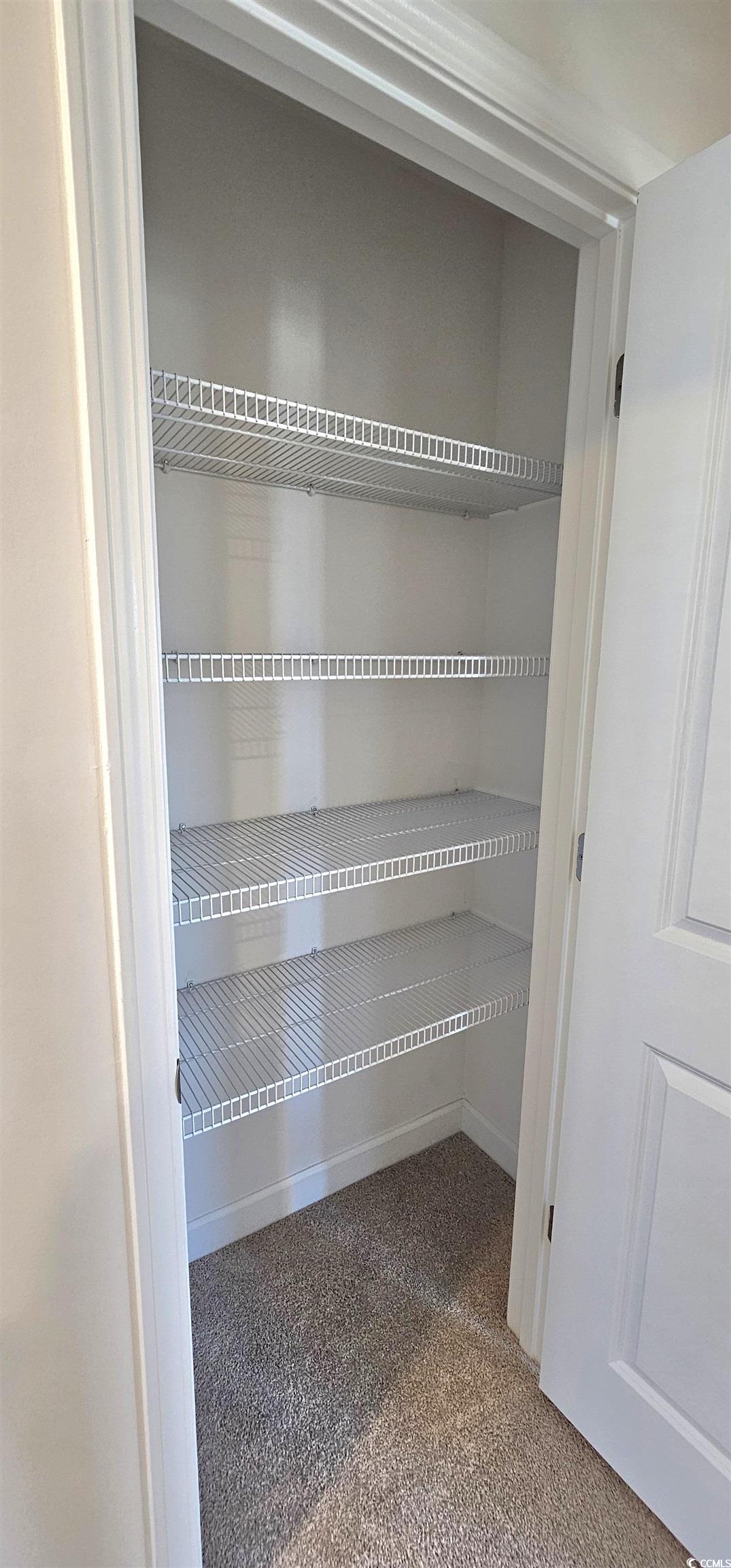 8233 Vibrant Loop Columbia, SC 29209 - Photo 26 of 40 View of closet