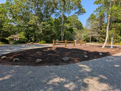 a view of a yard with a tree